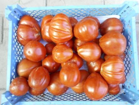Томатный мир - Каталог сортов томатов на 2018 -2019 годы - Каталог красныхи розовых сортов томатов